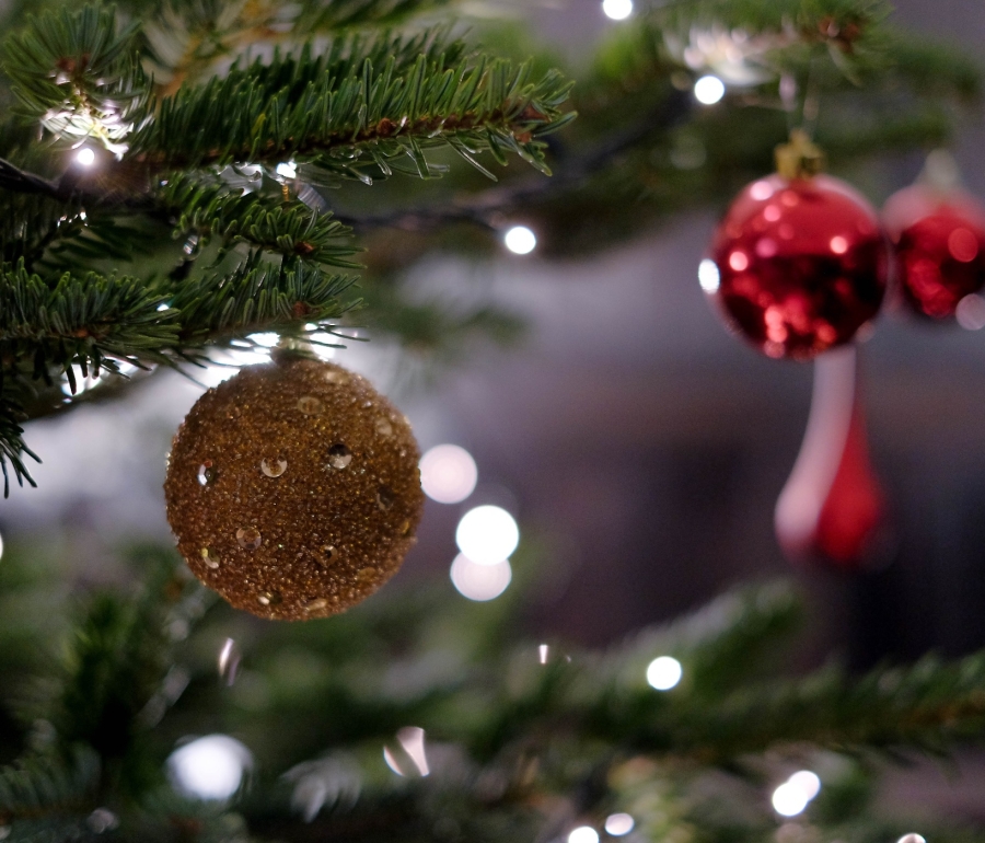 A gold sparkly ball and a red Christmas ornament handing on the branch of a tree