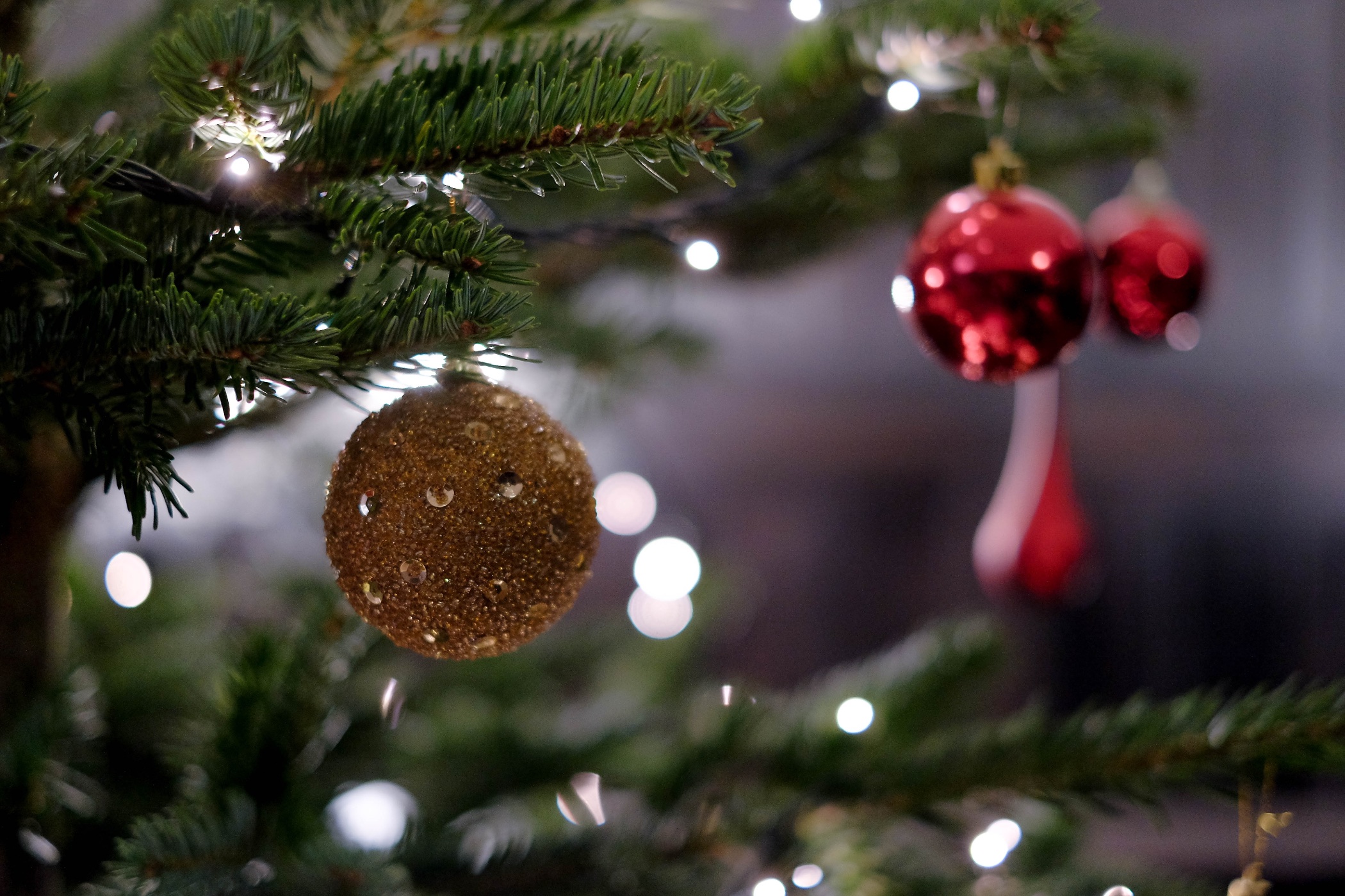 A gold sparkly ball and a red Christmas ornament handing on the branch of a tree