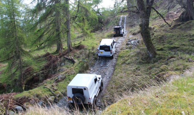 a group of 3 white SUVs going up a dirt trail in the forest