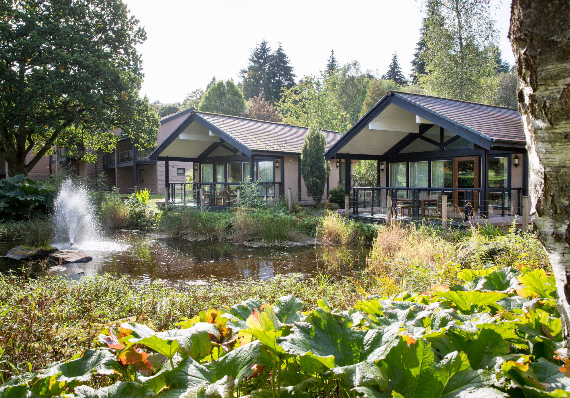 Four Bedroom Loch Lomond Lodge Exterior with pond and fountain