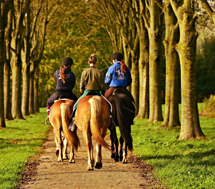 three woman riding horses down a trail with trees along the side