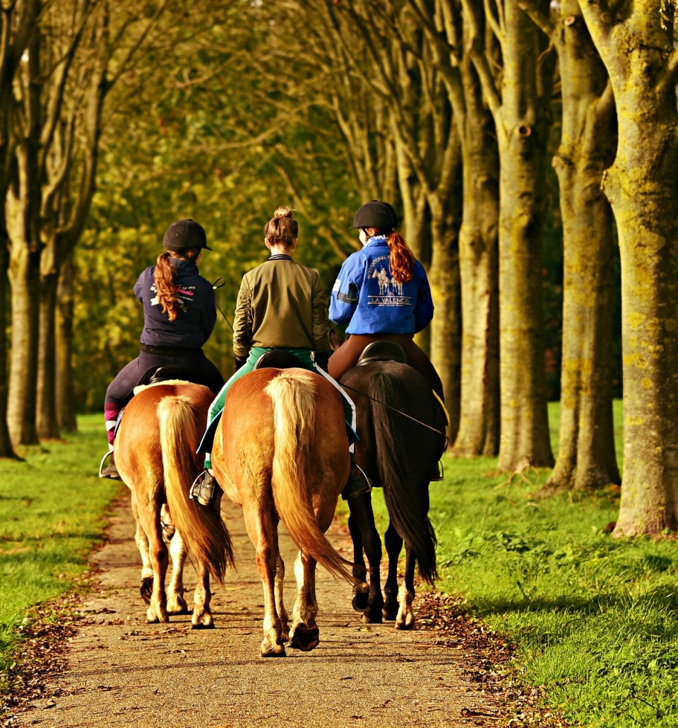 three woman riding horses down a trail with trees along the side