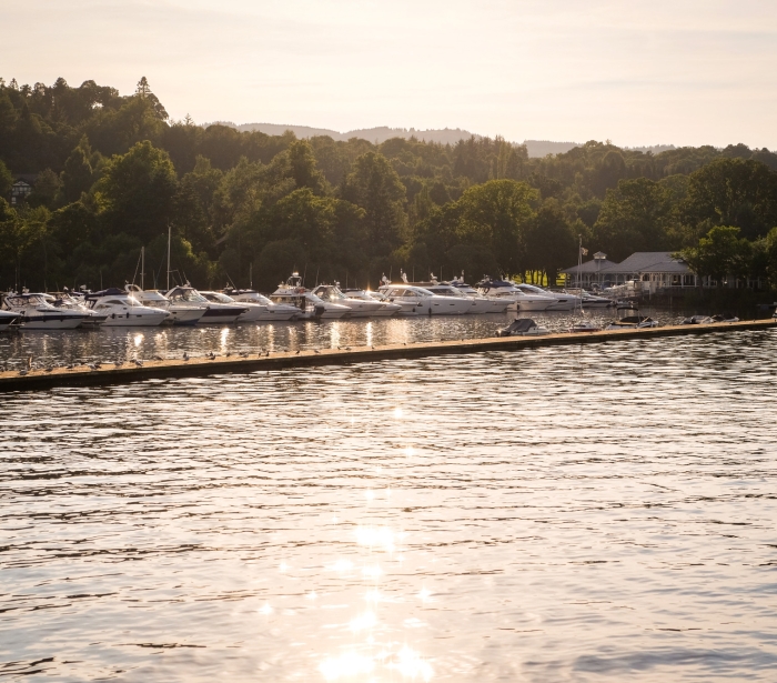 a row of boats sitting in a marina behind a long deck with large green trees in the background
