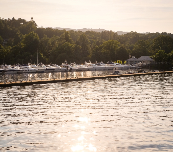 a row of boats sitting in a marina behind a long deck with large green trees in the background