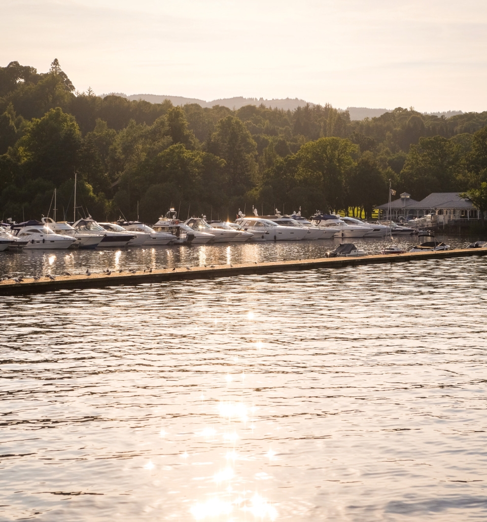 a row of boats sitting in a marina behind a long deck with large green trees in the background