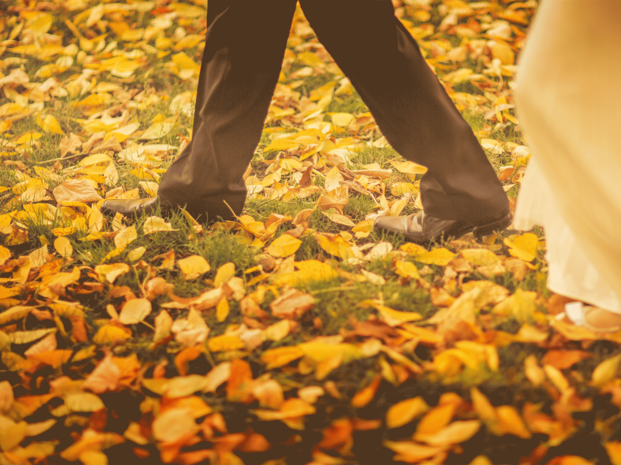 a bridge and groom walking through a pile of leaves on the grass