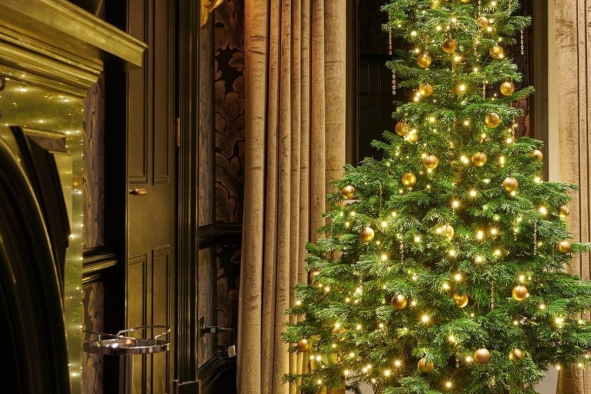 A beautifully decorated Christmas tree standing in a room with a crackling fireplace, spreading holiday cheer