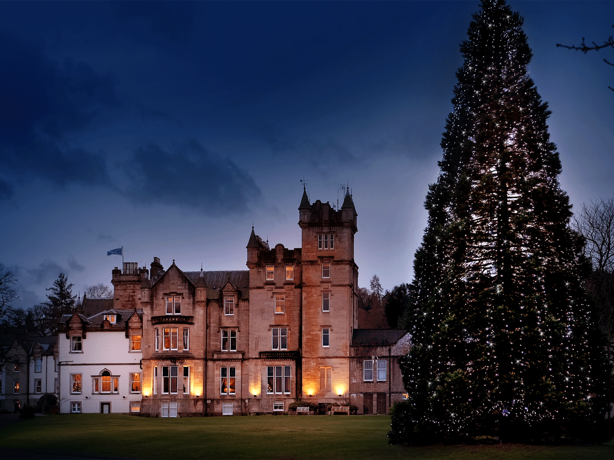 castle like building with a large christmas tree decorated outside