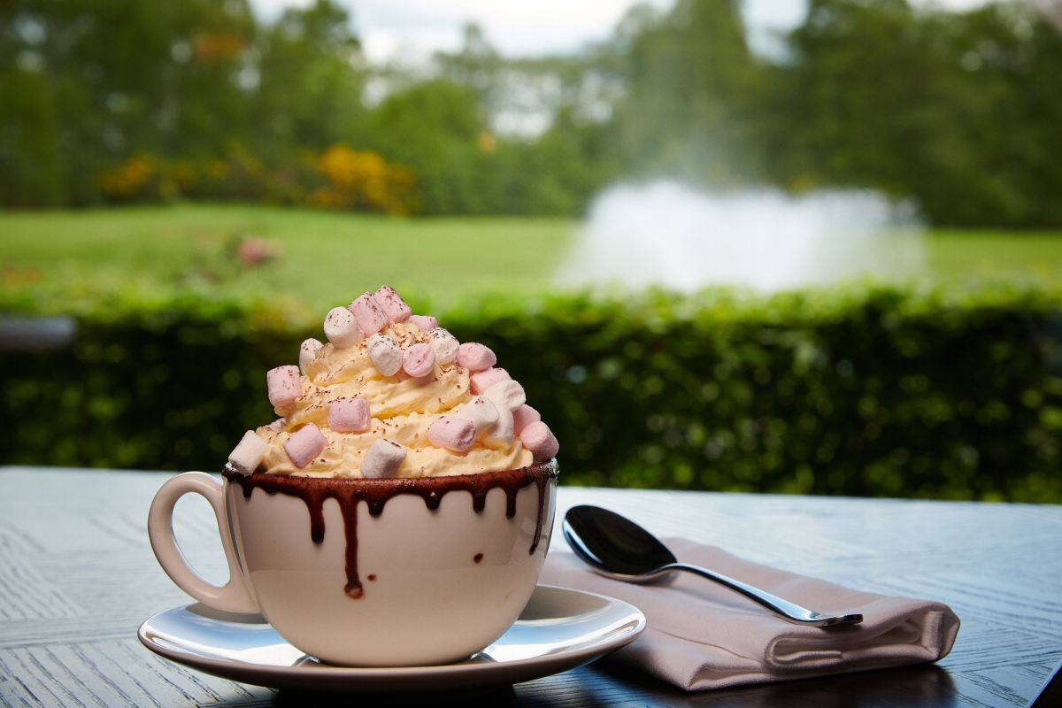 close up view of a cup of frozen hot chocolate