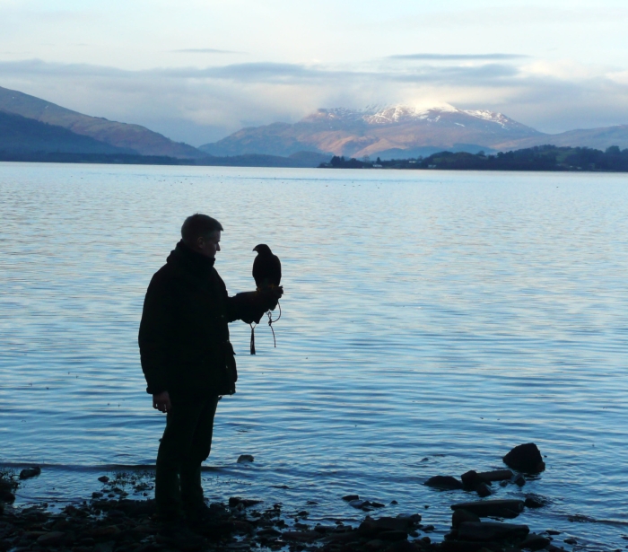 a man holding a falcon standing on the side of the water with large mountains in the background