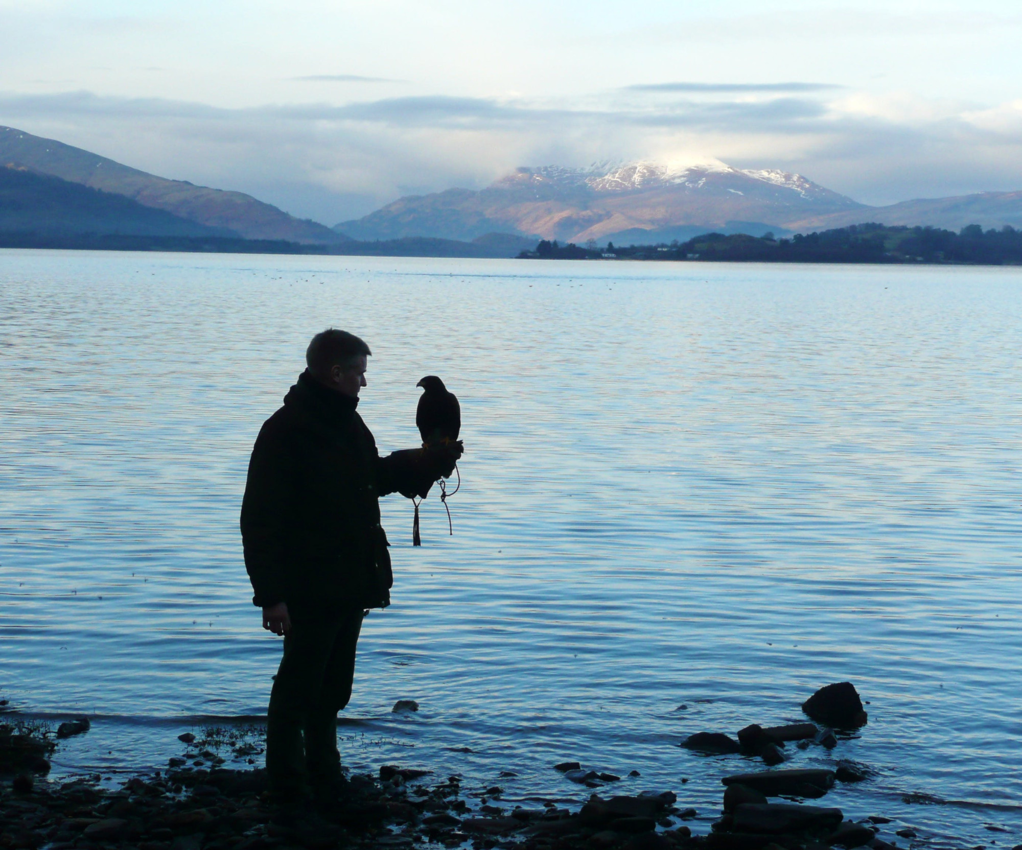 a man holding a falcon standing on the side of the water with large mountains in the background