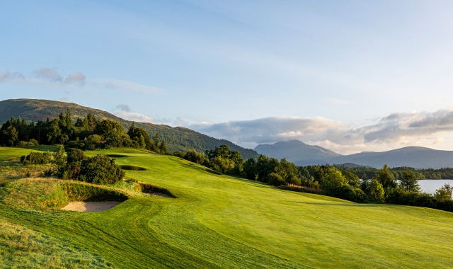 a bright green hillside with trees and mountains in the background