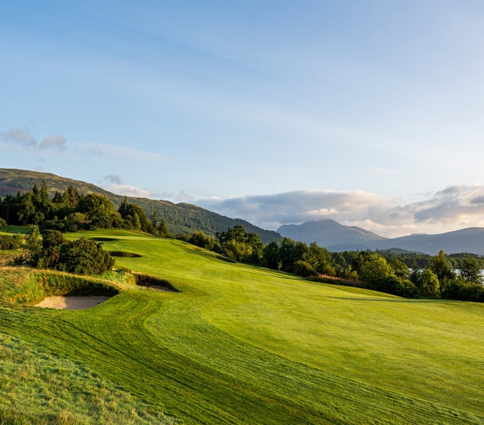 a bright green hillside with trees and mountains in the background