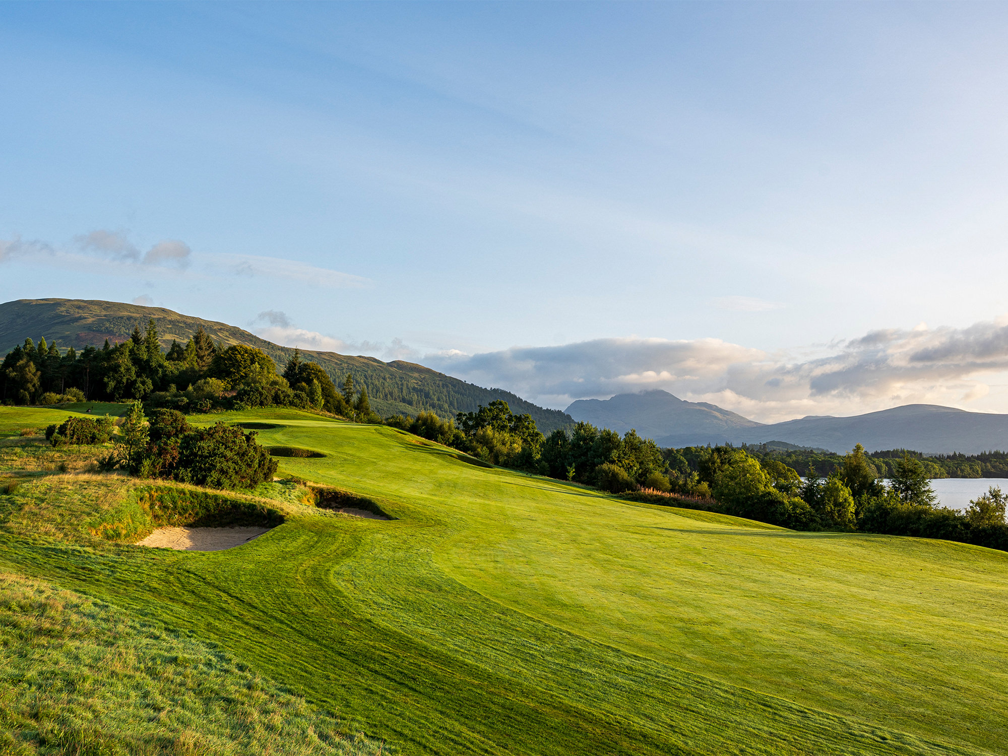 a bright green hillside with trees and mountains in the background