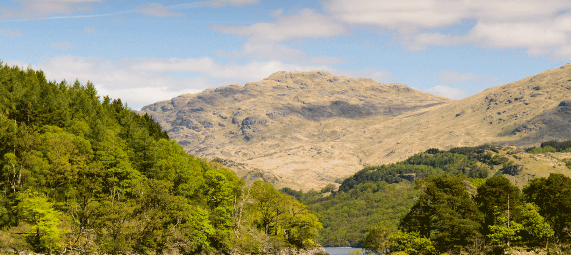 a body of water flowing in between two hills with forests and a large mountain in the background