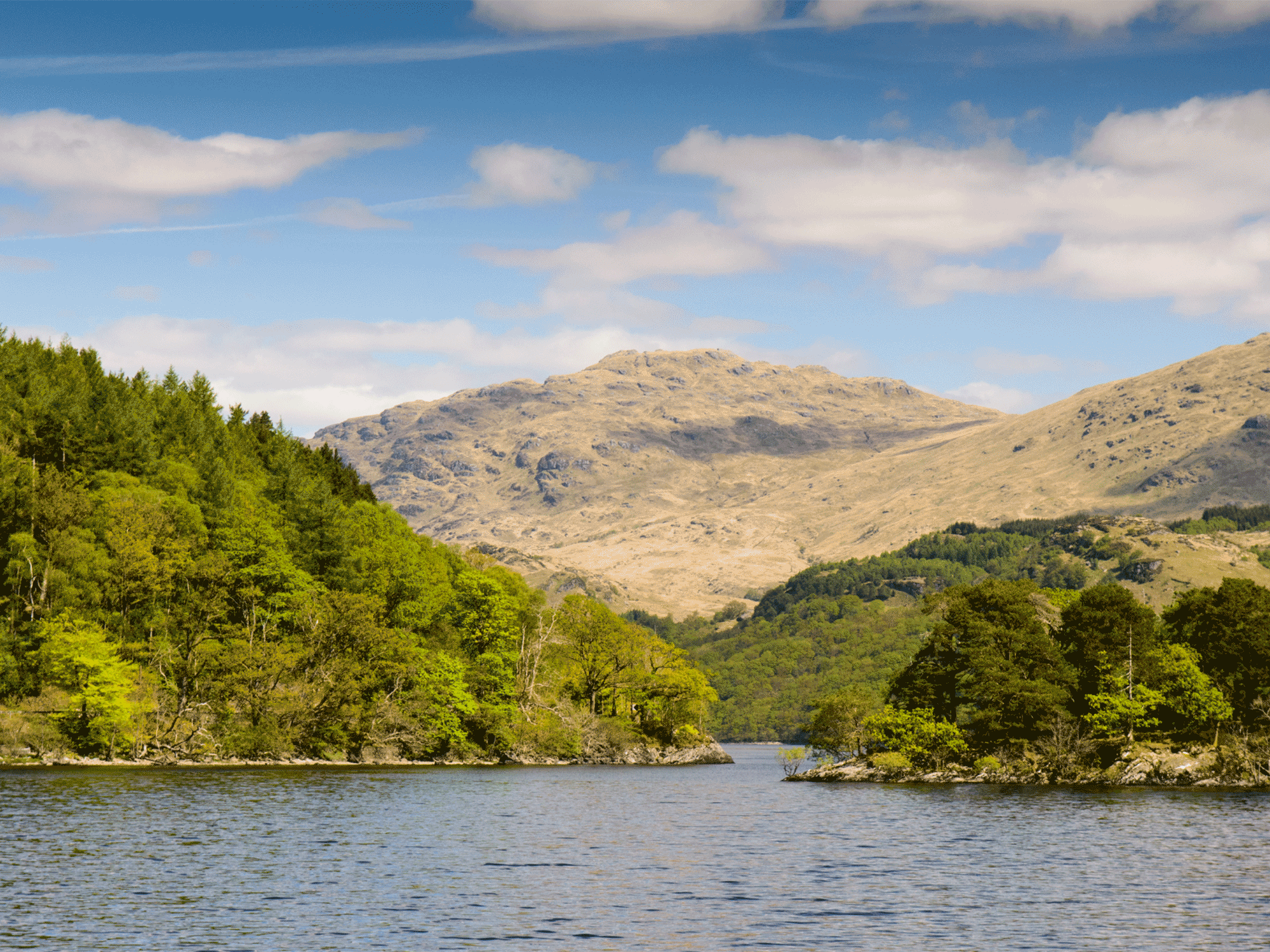 a body of water flowing in between two hills with forests and a large mountain in the background