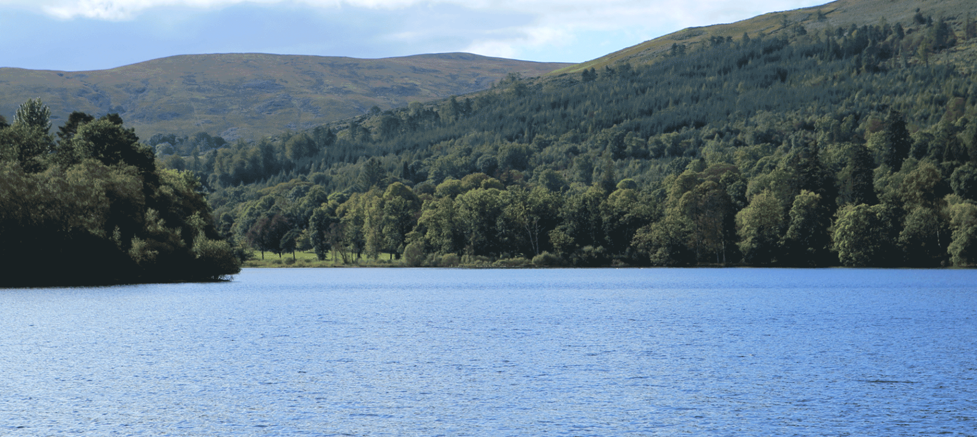 lots of green trees and forests with mountains and water