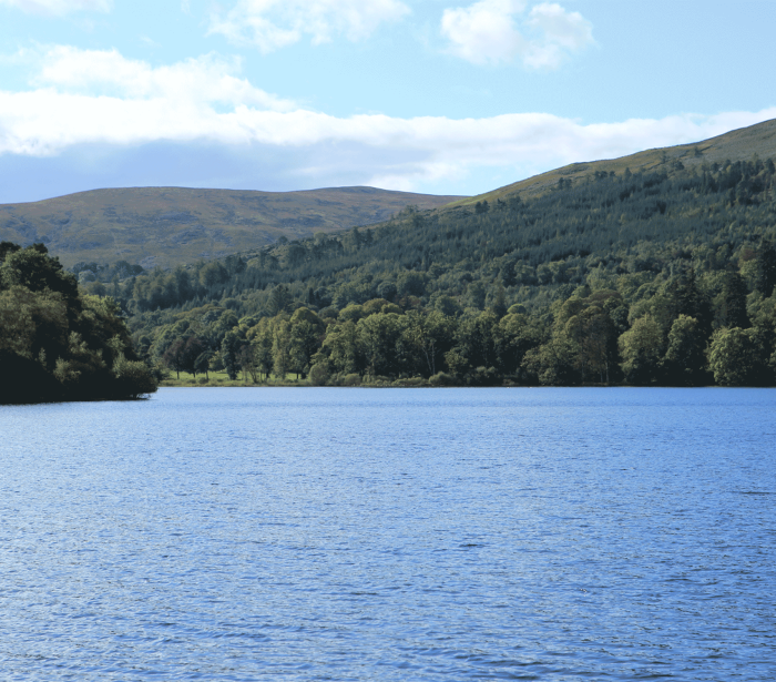 lots of green trees and forests with mountains and water