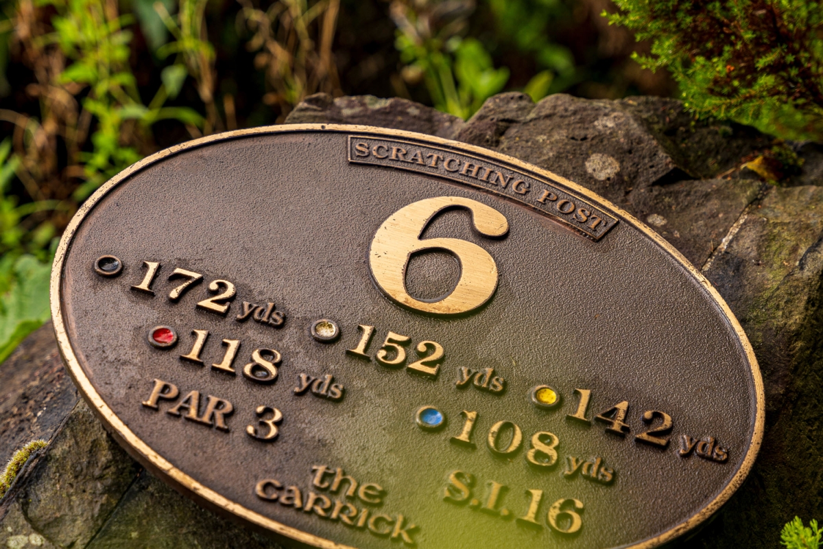 a piece of metal marking the 6th golf hole on the golf course