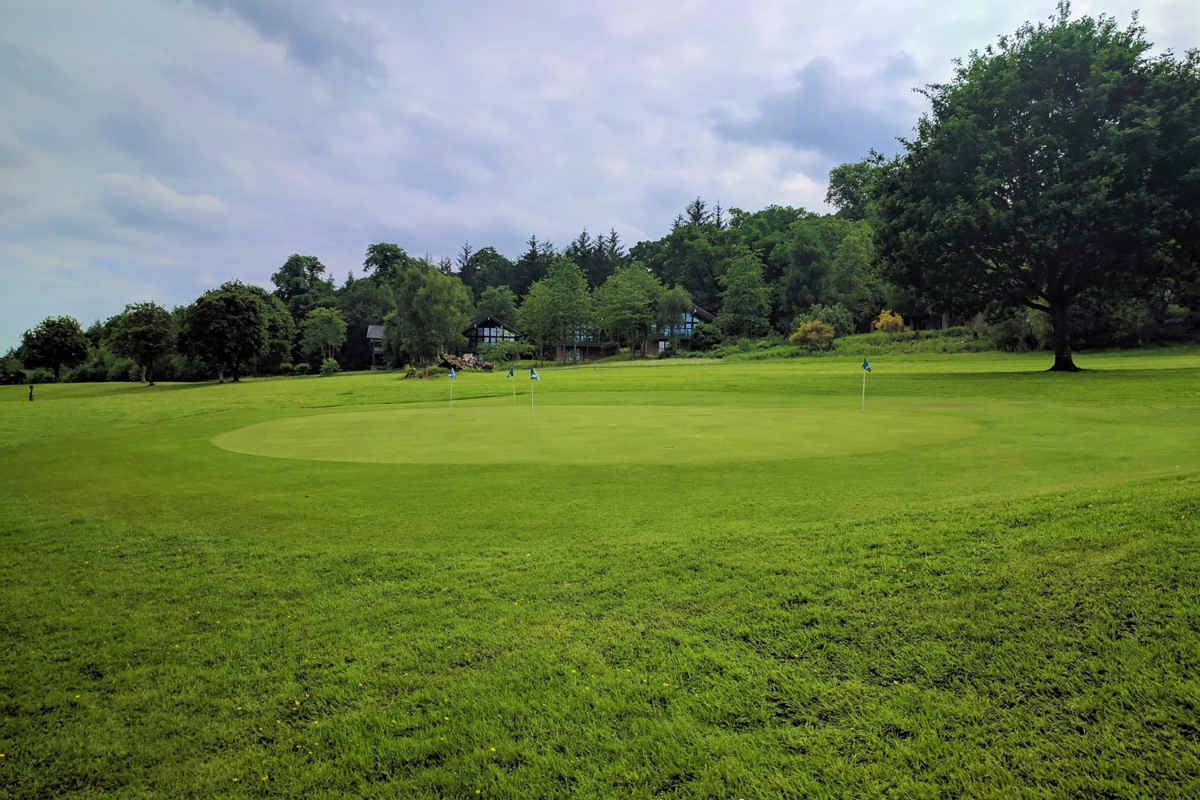 golf green with multiple holes and a building in the background