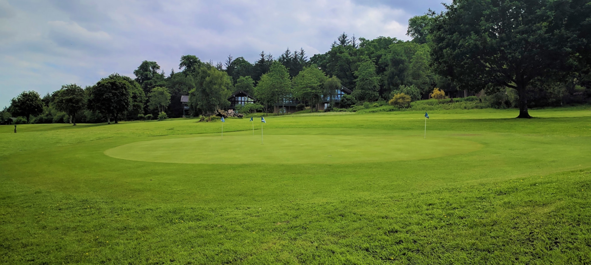 golf green with multiple holes and a building in the background