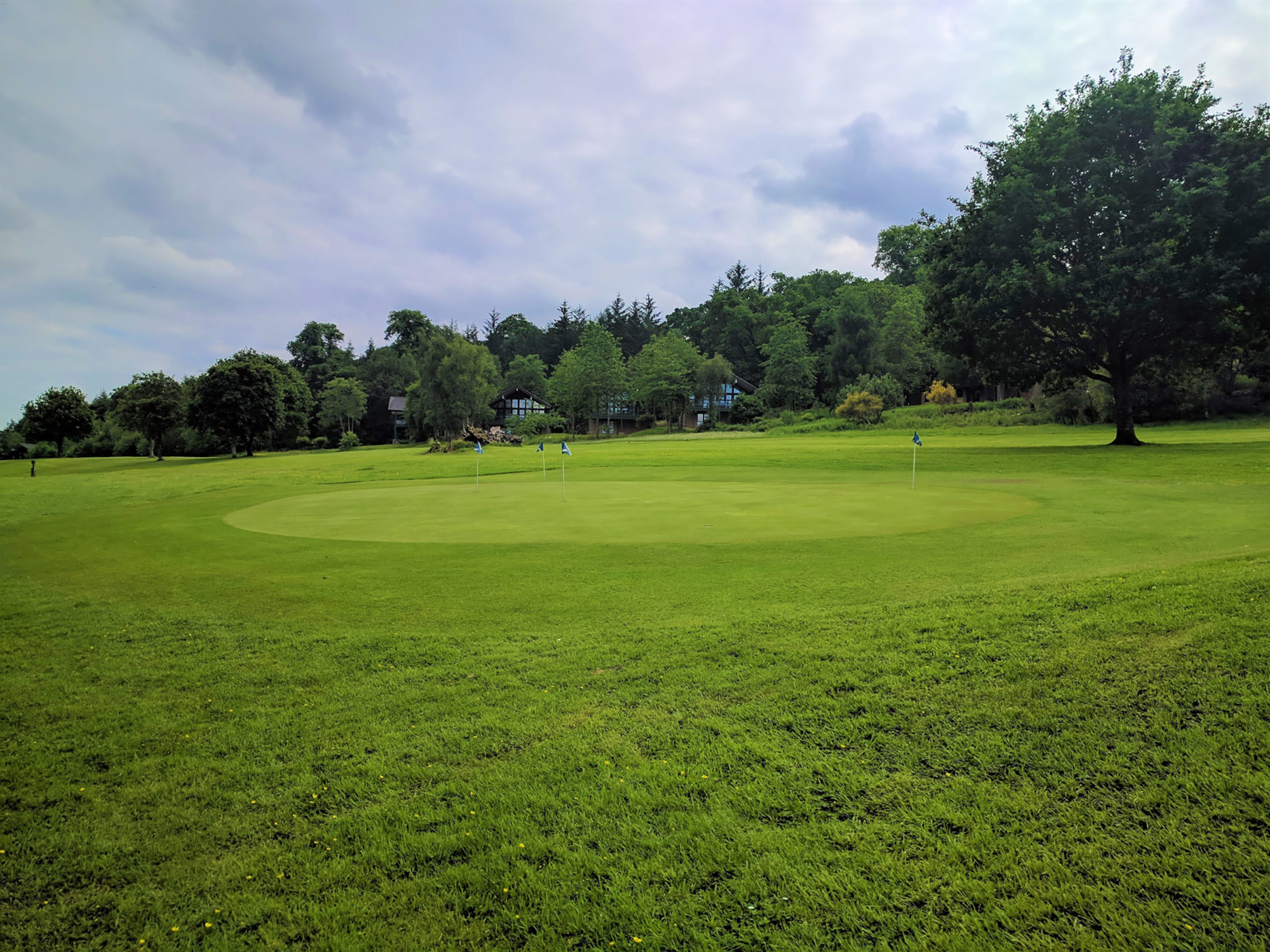 golf green with multiple holes and a building in the background