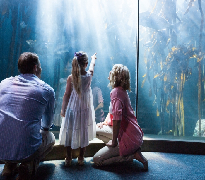 A family looking into a large aquarium tank filled with sea creatures