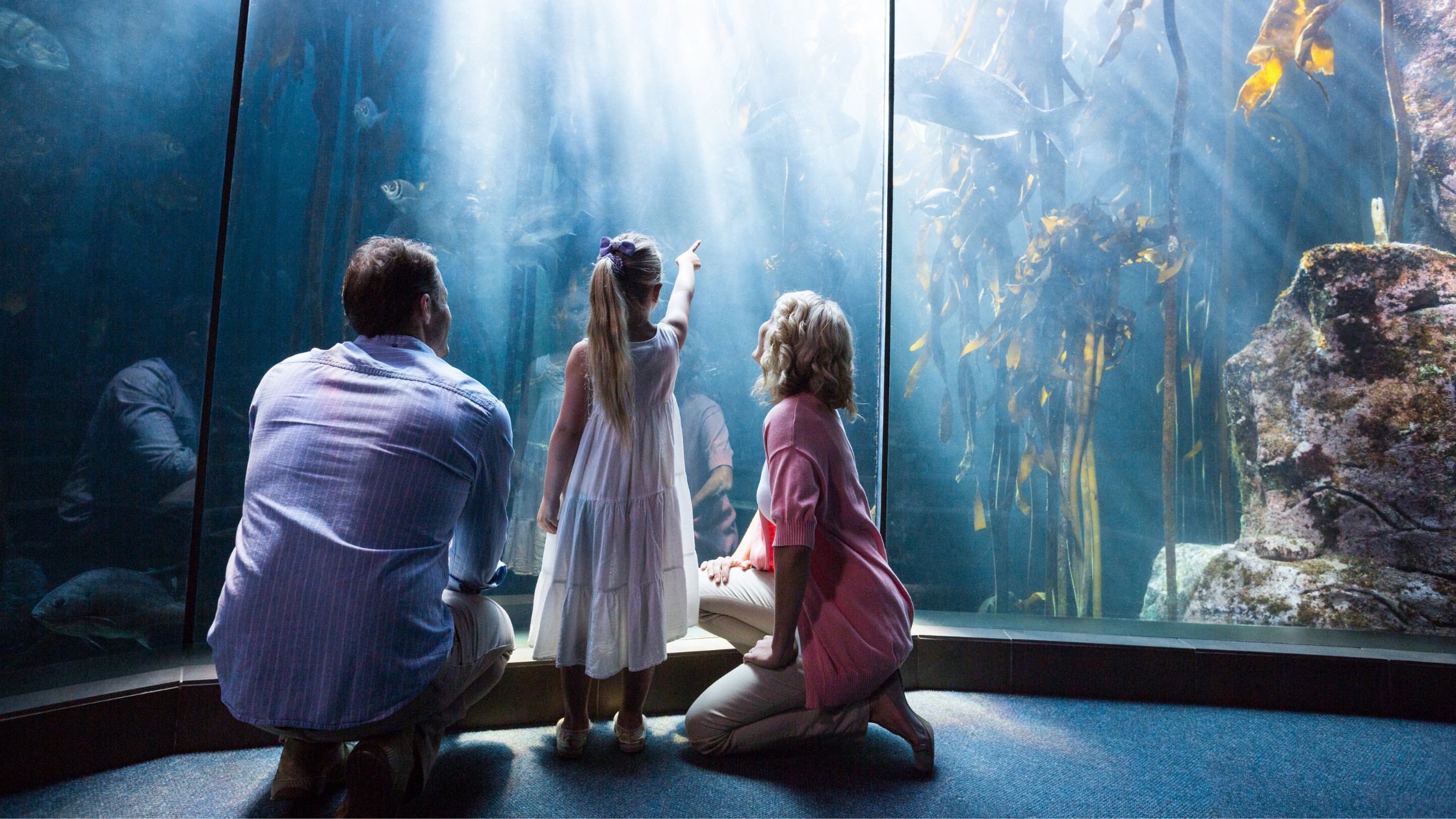 A family looking into a large aquarium tank filled with sea creatures