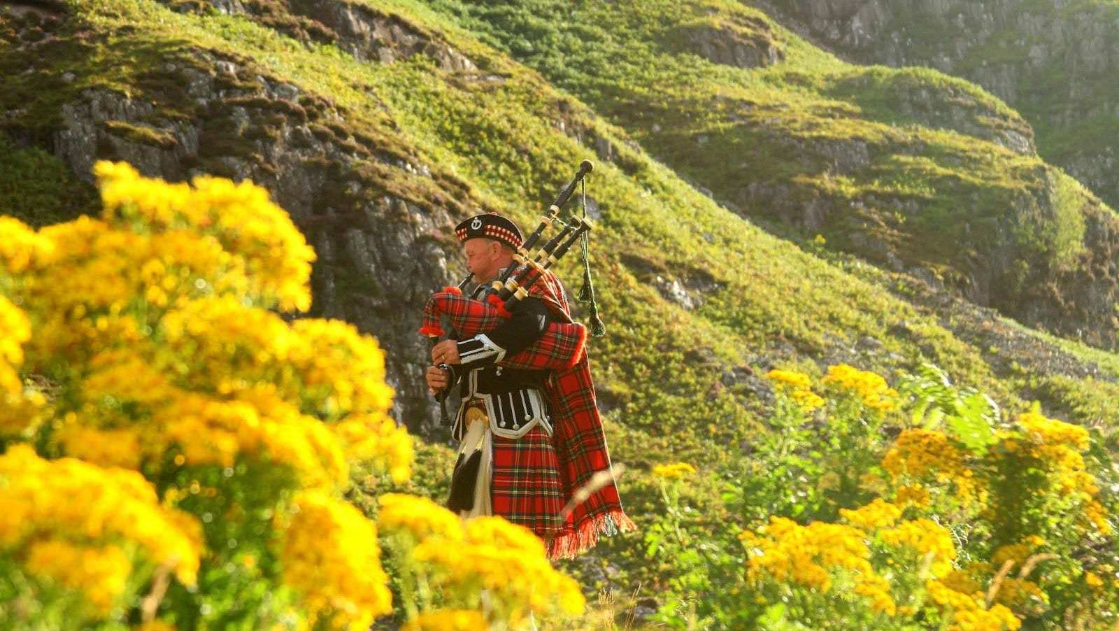 A Scottish piper dressed in kilt, piping in the Scottish hills during a sunny day.
