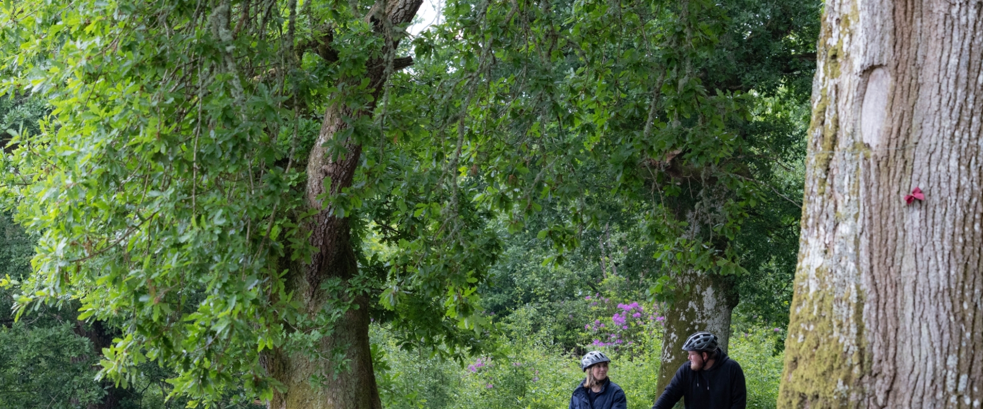 Cameron-House-Experiences-Cycling-045