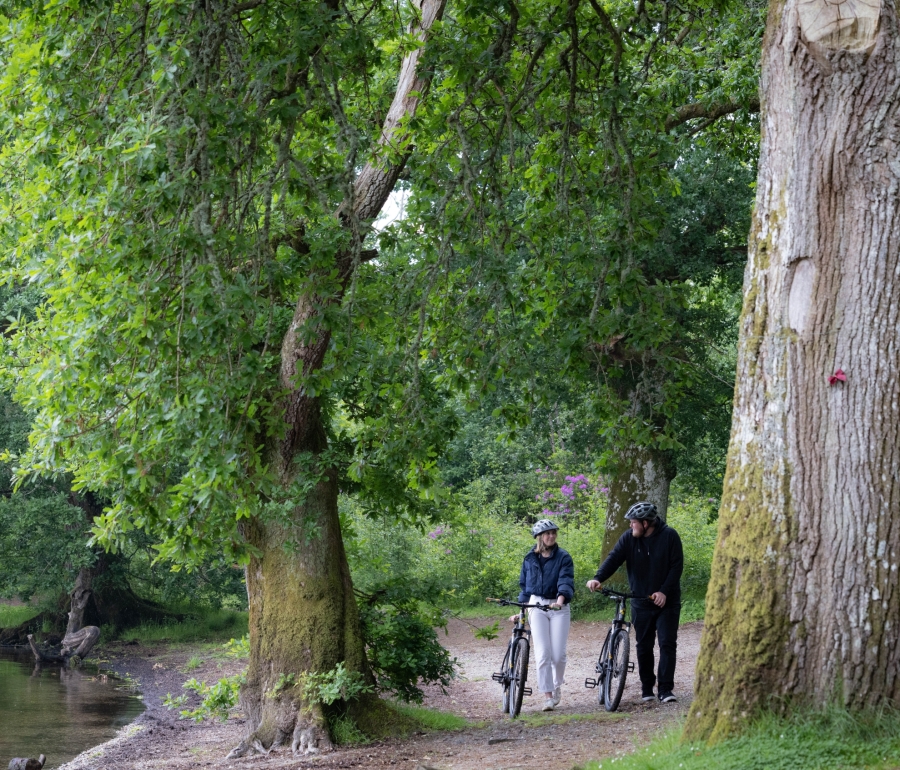 Cameron-House-Experiences-Cycling-045