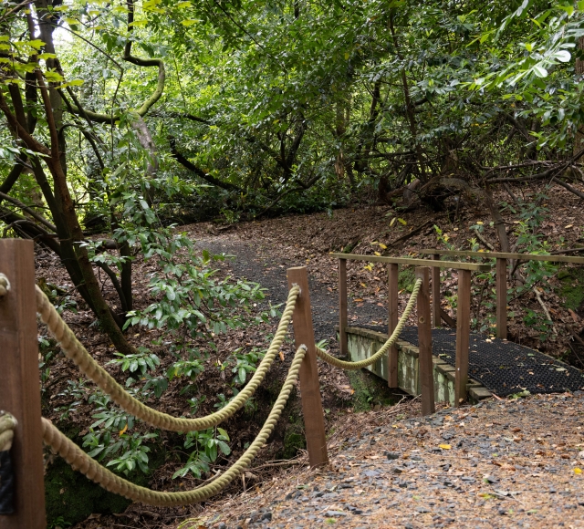 Cameron-House-Sustainability-Bramble-Wood-019