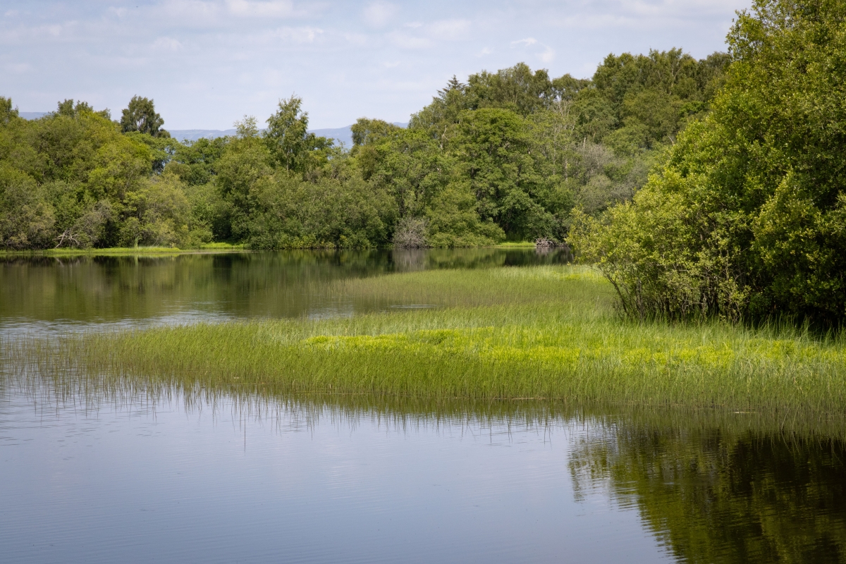 Cameron-House-Sustainability-Reserves-095
