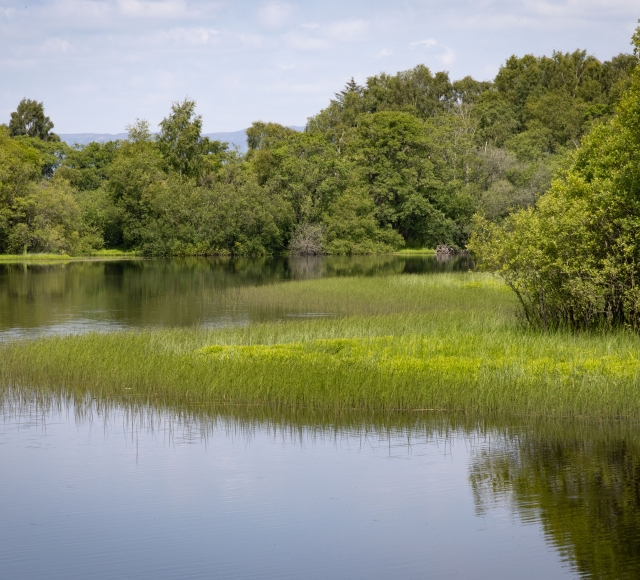 Cameron-House-Sustainability-Reserves-095