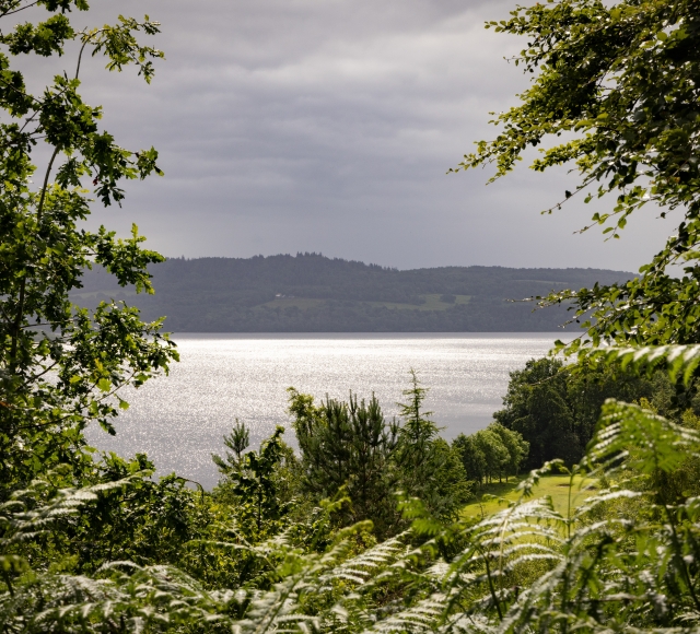Cameron-House-Sustainability-Wildlife-009