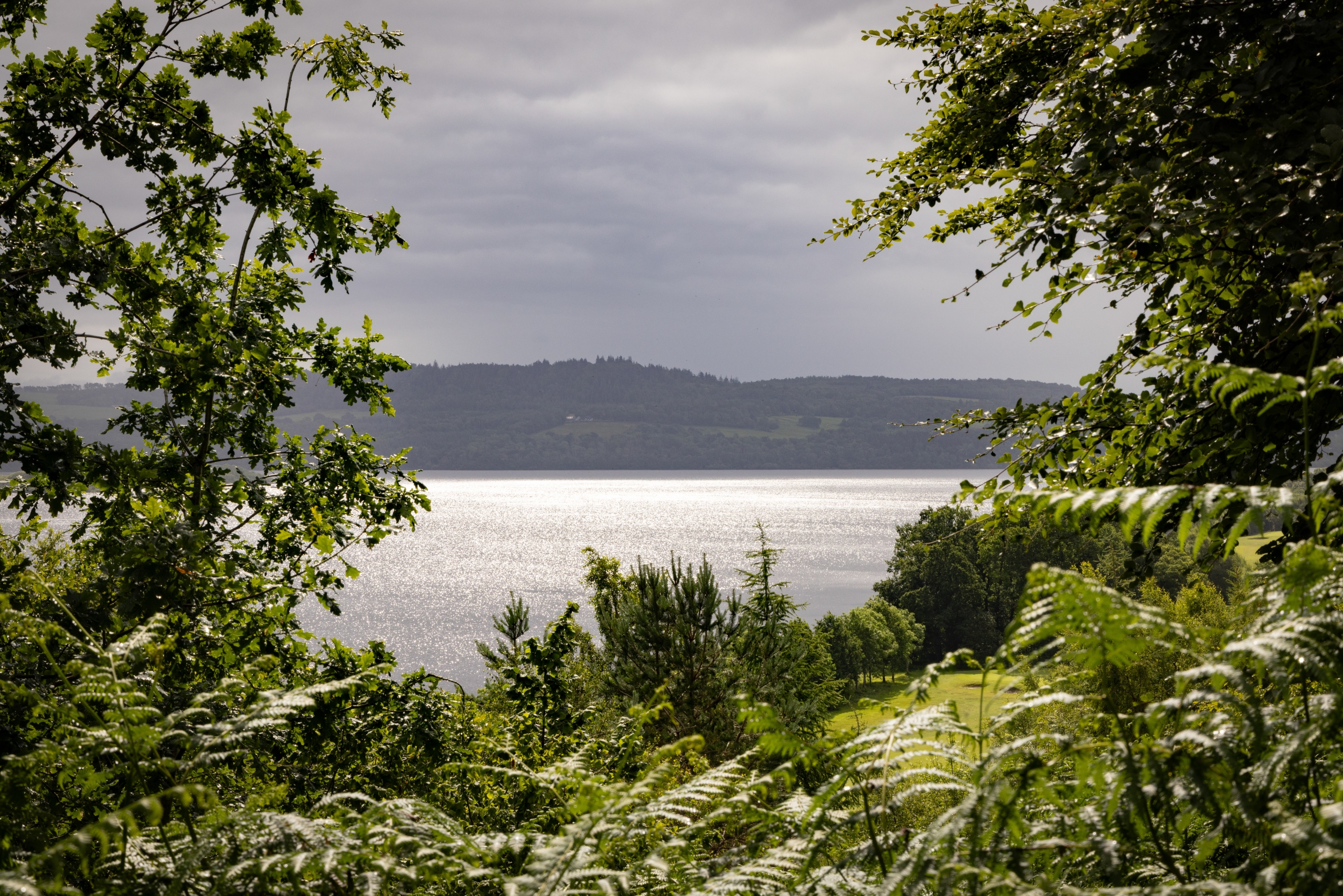 Cameron-House-Sustainability-Wildlife-009