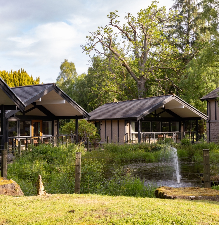 Cameron-Lodges-Cameron-House-One-Bed-Detached-Bungalow-121