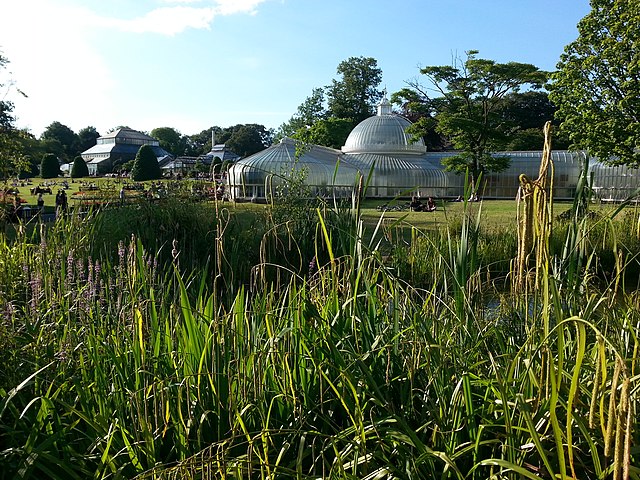 The Glasshouses at Glasgow Botanic Gardens
