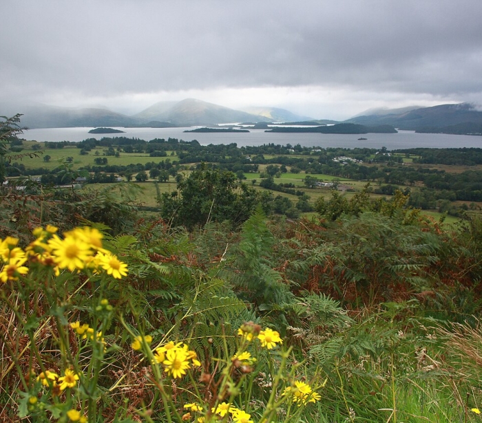 Loch Lomond and The Trossachs in Spring