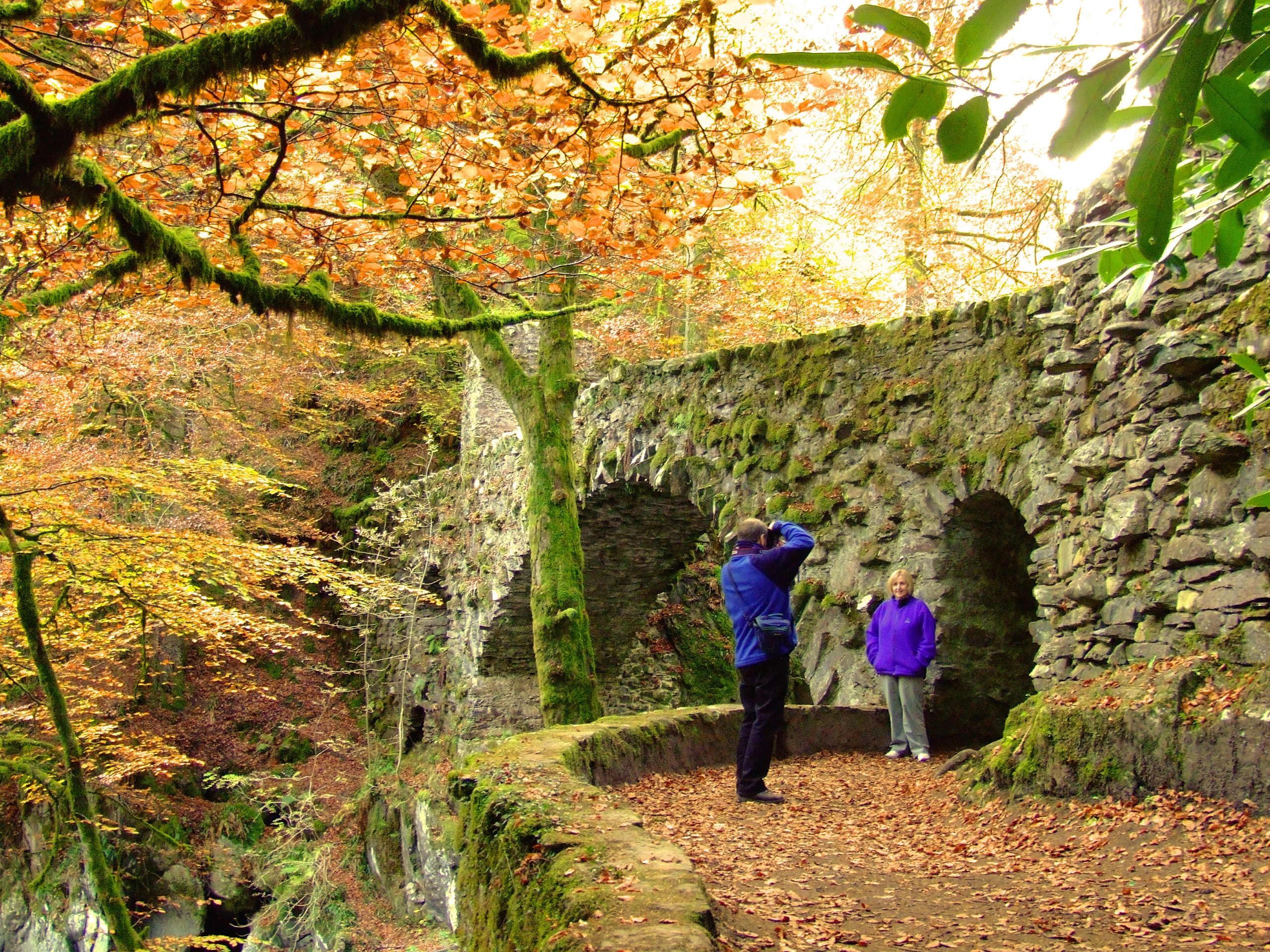 The Hermitage Dunkeld Scotland