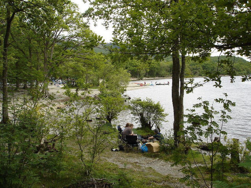 Sallochy Bay Loch Lomond